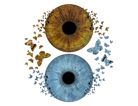 A gold iris and a sea-green iris surrounded by butterflies