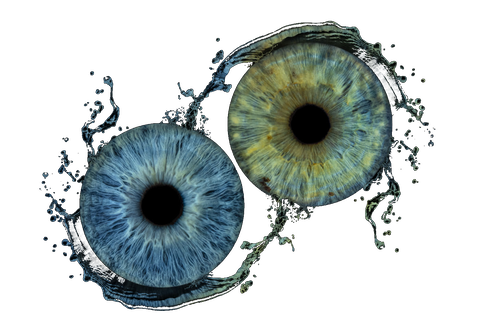 Two irises joined by a ring of water